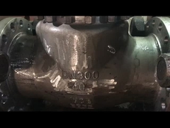 ASME-API-Standard WCB CF8 CF8M Schwingungscheckventil für Wasserdampf und Öl