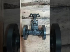 Schmiede-Gatterventil aus Gusseisen aus Edelstahl für Wasserdampföl/korrosive Flüssigkeiten